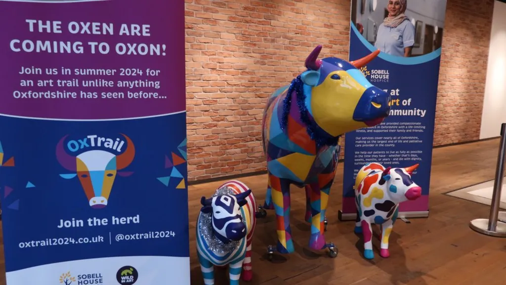 Oxford children's artist creates first design for art trail